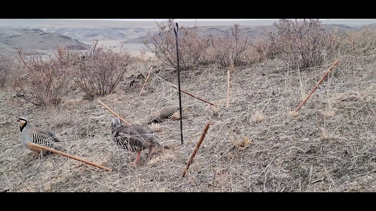 19 ноября 2025 г.