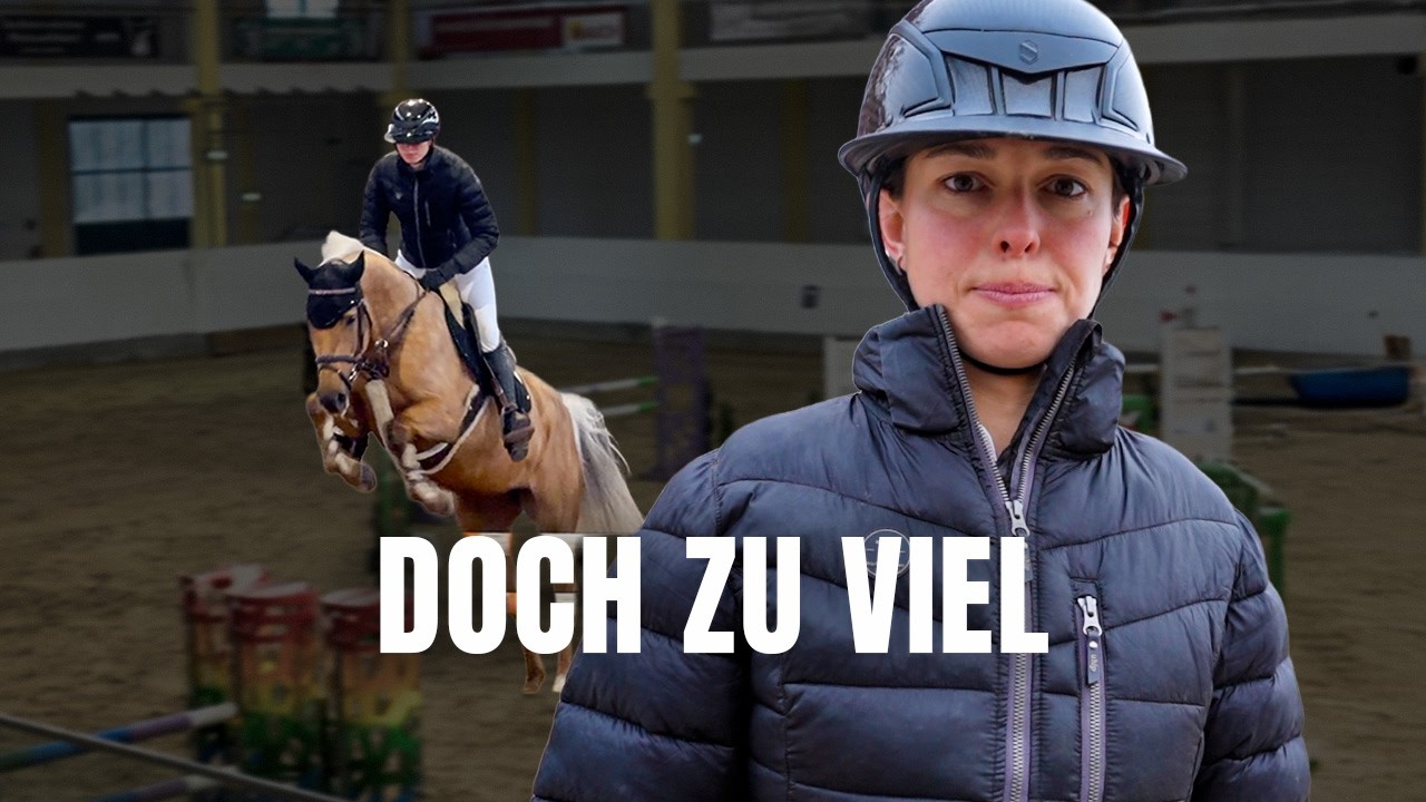 🐴 4 Pferde, 11 Starts!  XXL Turnier-VLOG 🏆&ndash; Teil 3/4