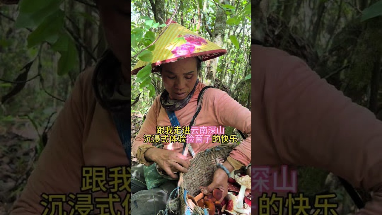跟着我走进云南深山，沉浸式体验捡菌子的快乐！这次上山采菌子，手机意外没电了，好多精彩瞬间都没拍到，真的很可惜。但即便如此，山里的每一刻依然充满惊喜。虽然素材有限，但这份快乐和大自然的治愈是满满的。希