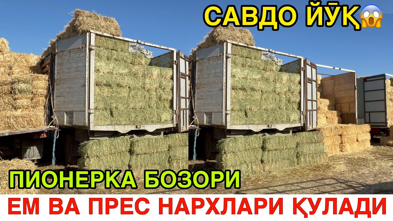 ЕМ ВА ПРЕС НАРХЛАРИ ТУШДИ. ҚАМАШИ ПИОНЕРКА ЕМ БОЗОРИ. ҚАШҚАДАРЁ 2026-ЙИЛ 24-ФЕВРАЛ