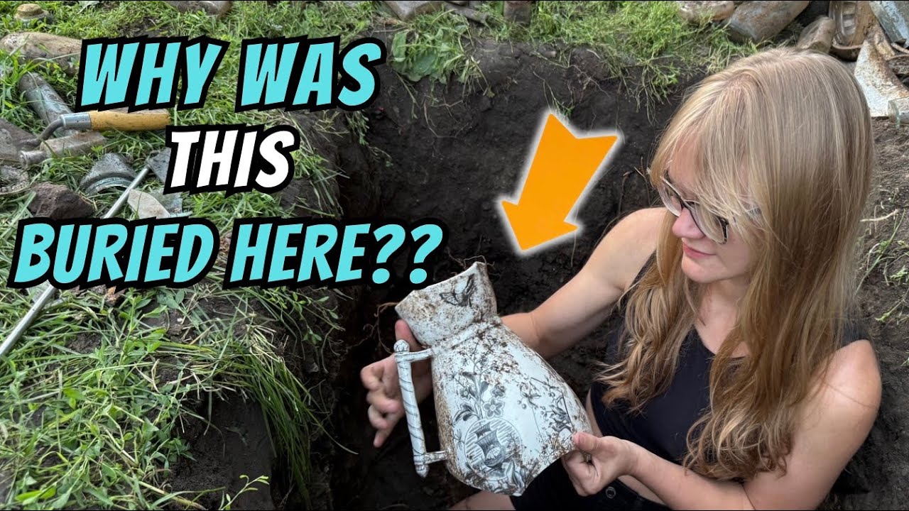 A Strange Sink Spot in the Back Yard Led Us to a Wild Discovery