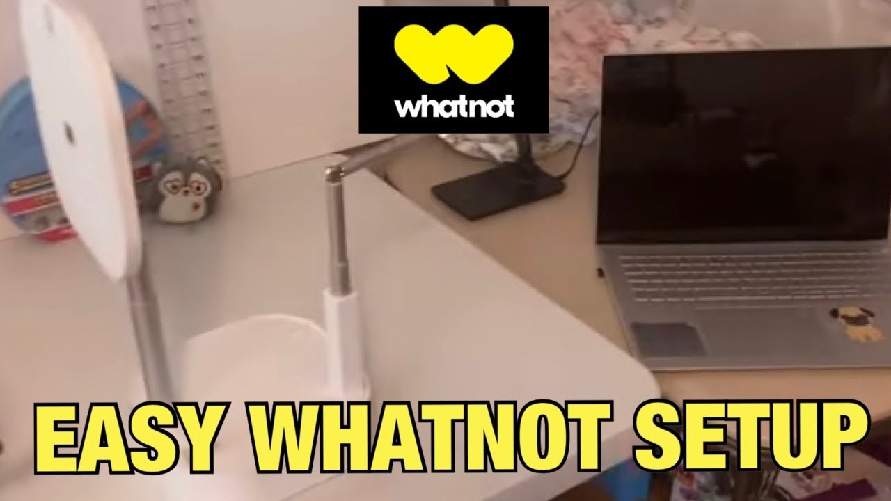 Как провести распродажу WhatNot самостоятельно и не попасть в кадр!