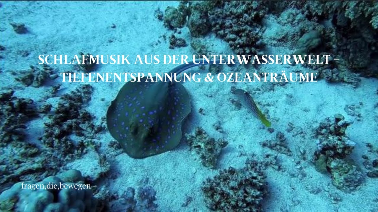 Schlafmusik aus der Unterwasserwelt – Tiefenentspannung & Ozeanträume