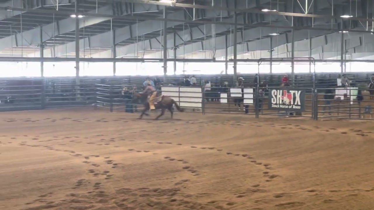 World Reining I
