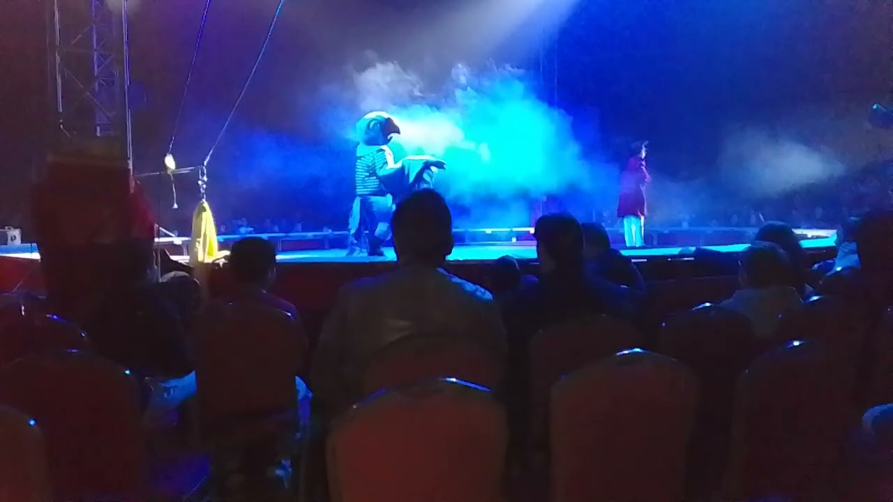 L'oiseau bleu cirque Medrano suite 