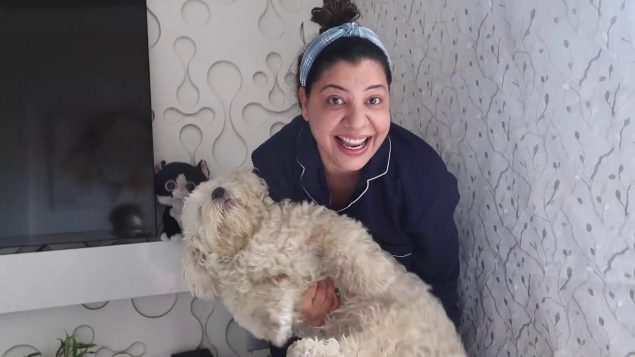 Three Dogs Bath Challenge | 21 days Lockdown | Ss vlogs :-)