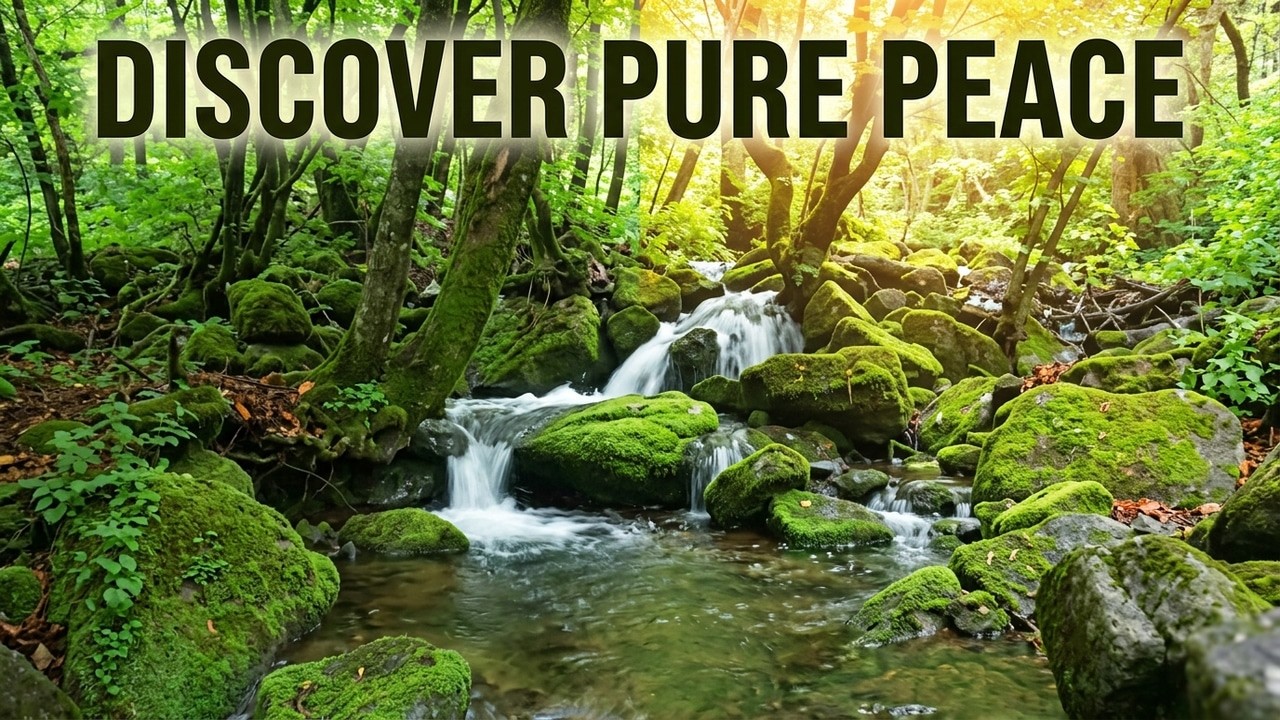 Chill Water for Total Chill Vibes! #asmr #naturesounds