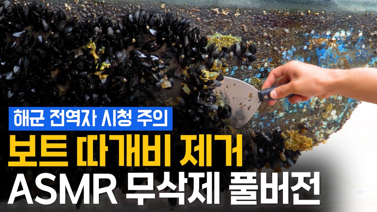 500만이 시청한 보트 따개비 제거 쇼츠 풀영상