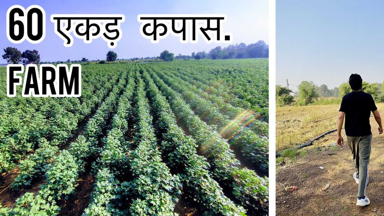 10 रुपये में दिल GARDEN GARDEN ???😂😂😂vlog Farming with ajit 2:05 