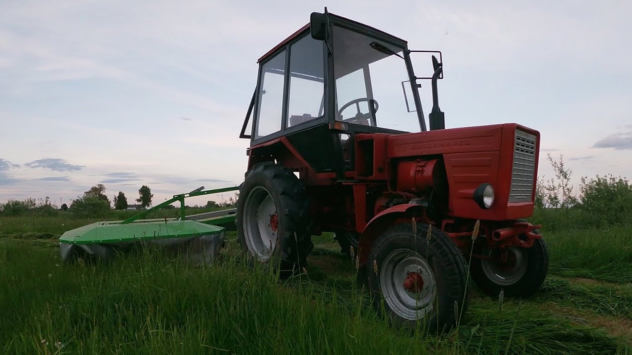 Pierwsze koszenie nową kosiarką l Talex Eco Cut 165 💪💪