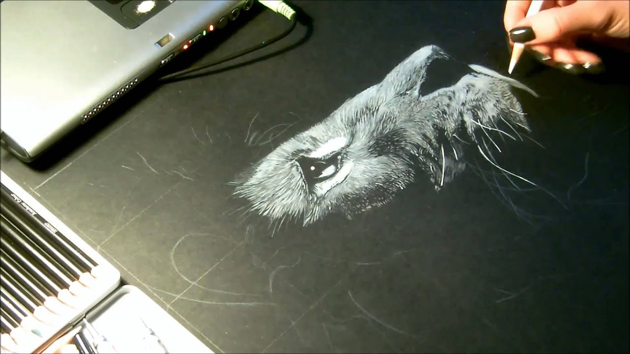 Speed drawing, dessin  
