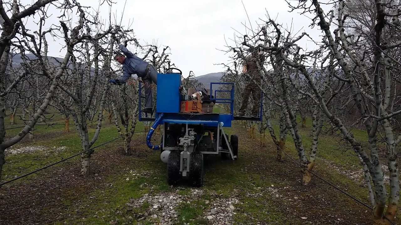 Κλαδεμα μηλιας 17/3/2018
