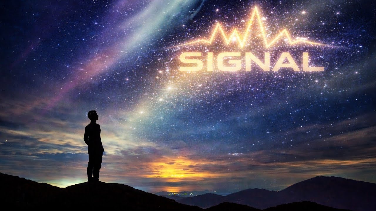 Signal -  Other Words 