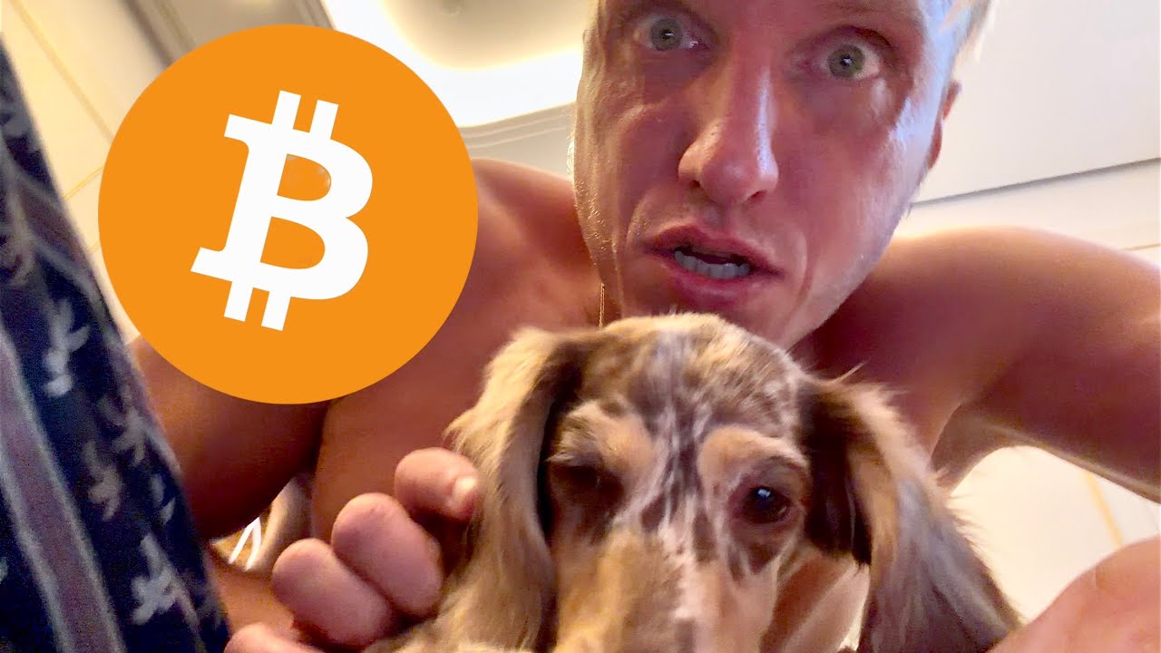 BITCOIN!!!!!! ПРЯМО СЕЙЧАС!!!!!!!!!!!!!!!!!!!!!!!!!!!!