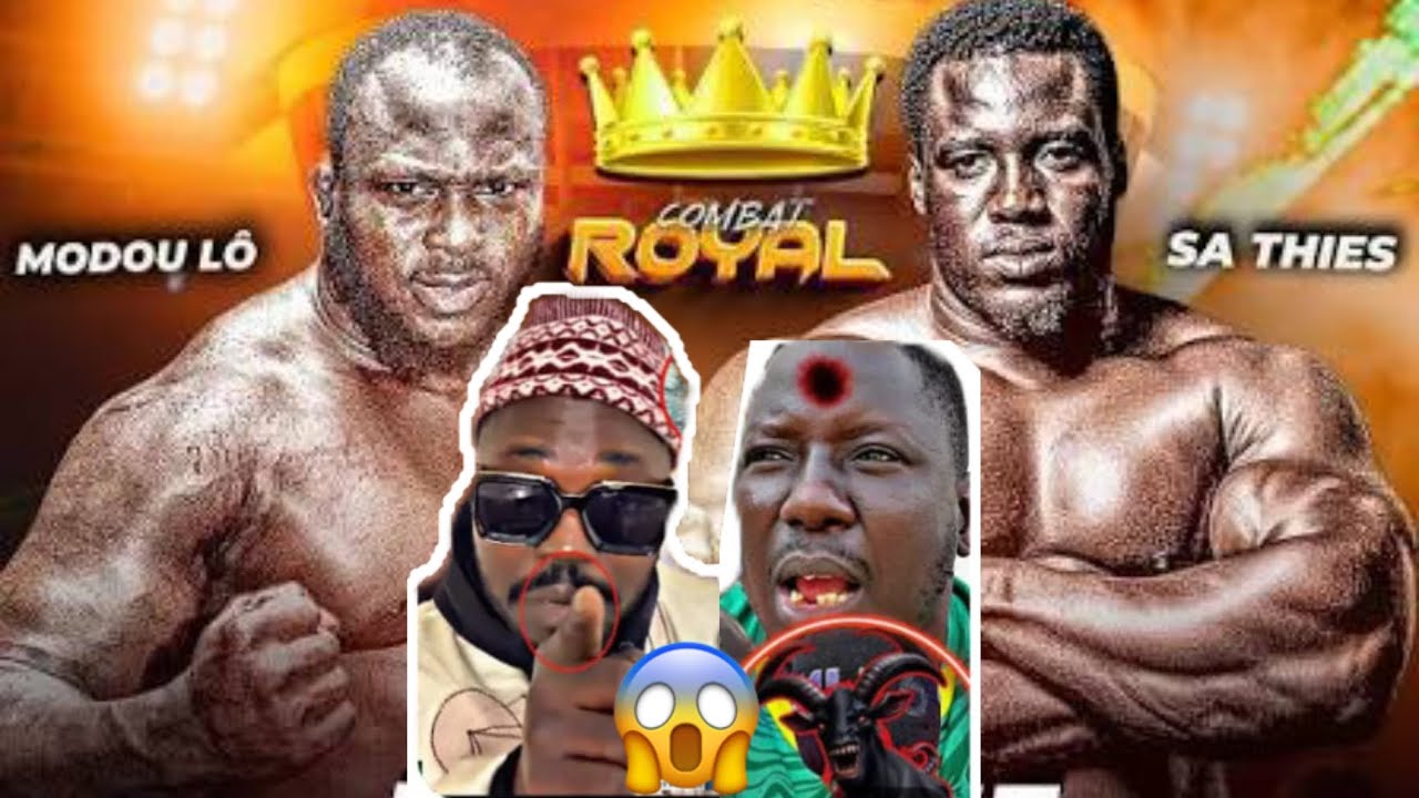 ‼️😱Modou Lô Day Dane Sa Thiès Té🫢Seugne Bada Wahna Dé Lou Doy War Mok Thiédo…Té Jourou Combat Diga G