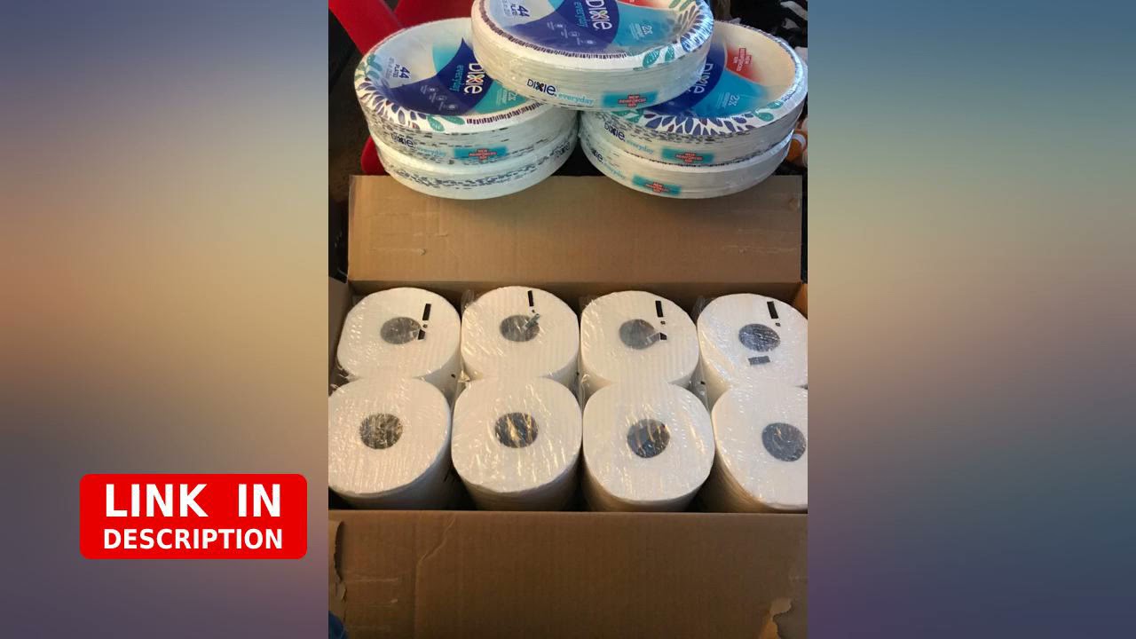 Dixie Everyday Paper Plates, 10 1//16