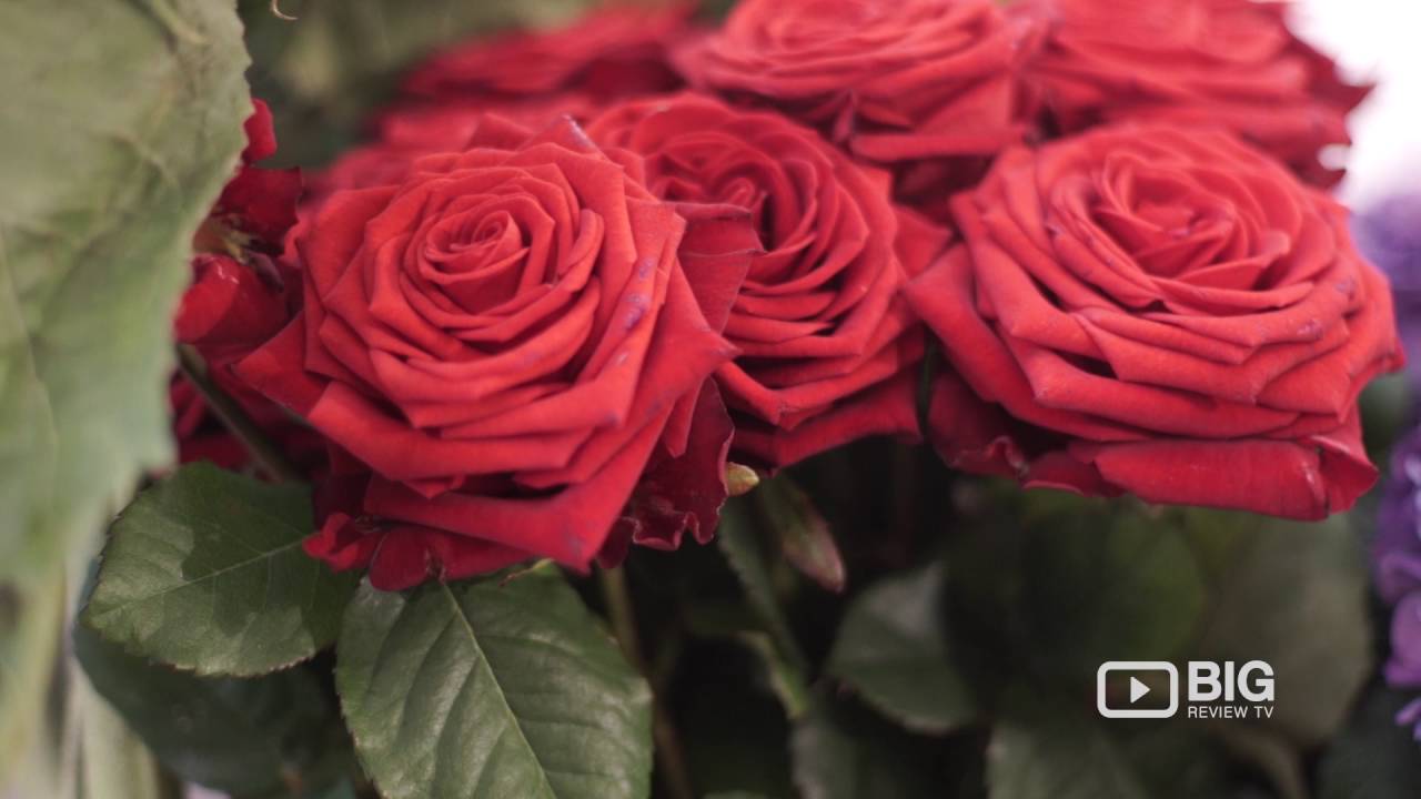 Galton Flowers Shop London for Florist and Floral Designs