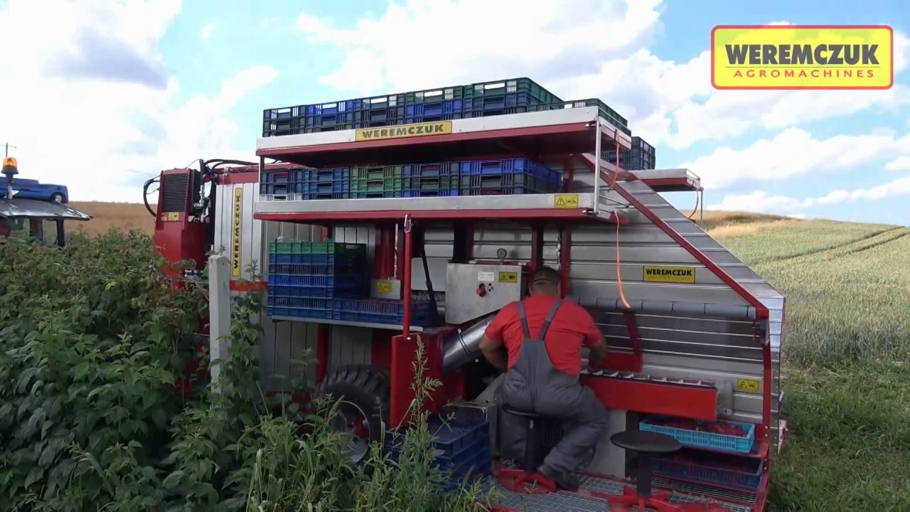 KAREN berač za maline - raspberry harvester