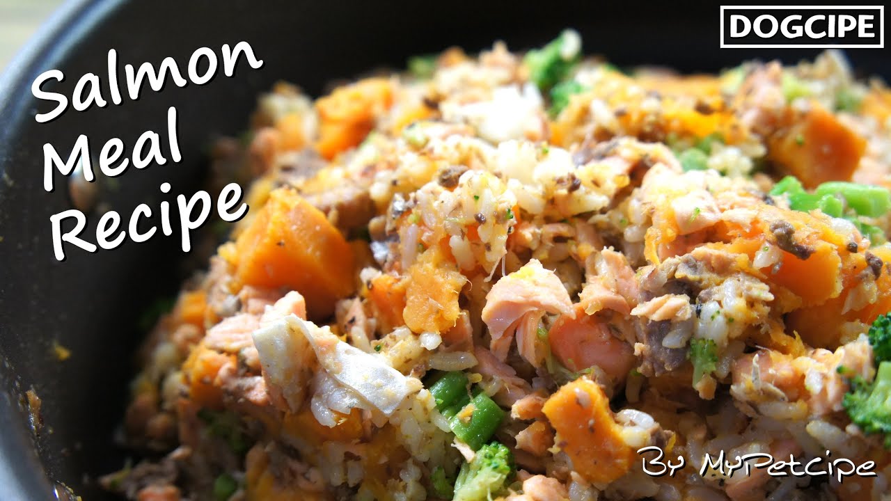 Salmon Meal Recipe | Homemade Dog Food Recipe | MyPetcipe