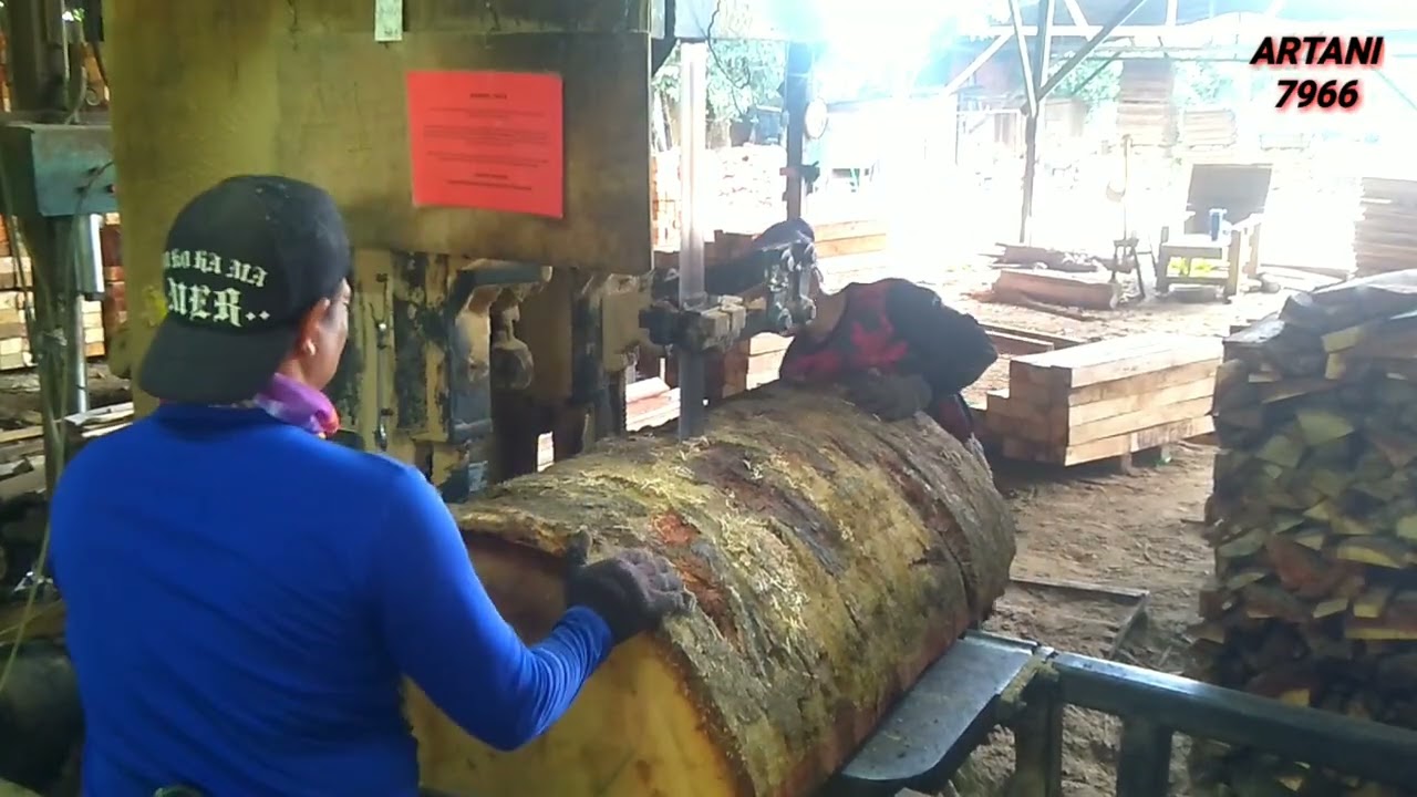 MERACIK BALOKAN KAYU BESAR JENIS LEMBUT