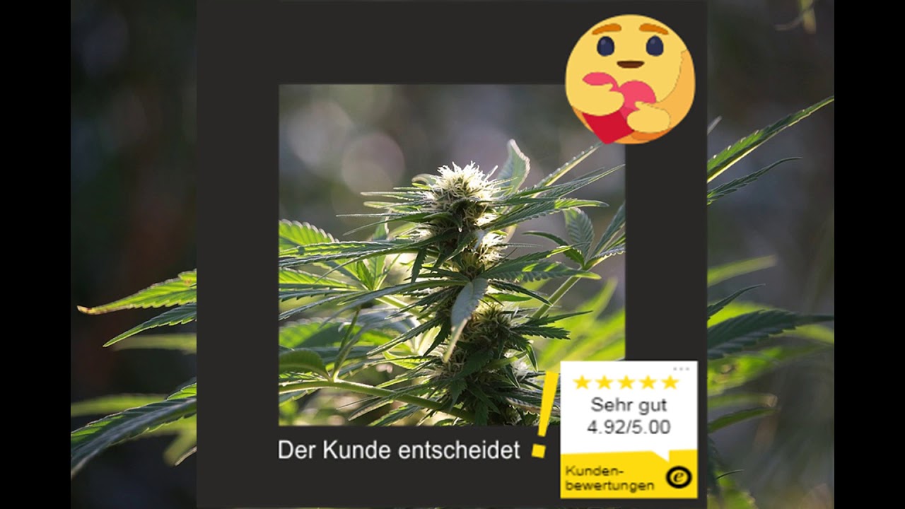 cbd bl&uuml;ten - cbd bl&uuml;ten online kaufen | anbieter cannafleur.de 2020