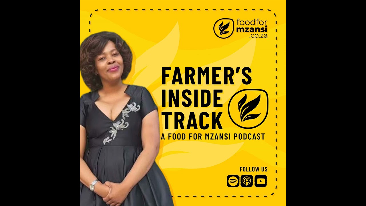 Cattle, Care & Commitment: Pholisa Bidla’s journey in livestock farming