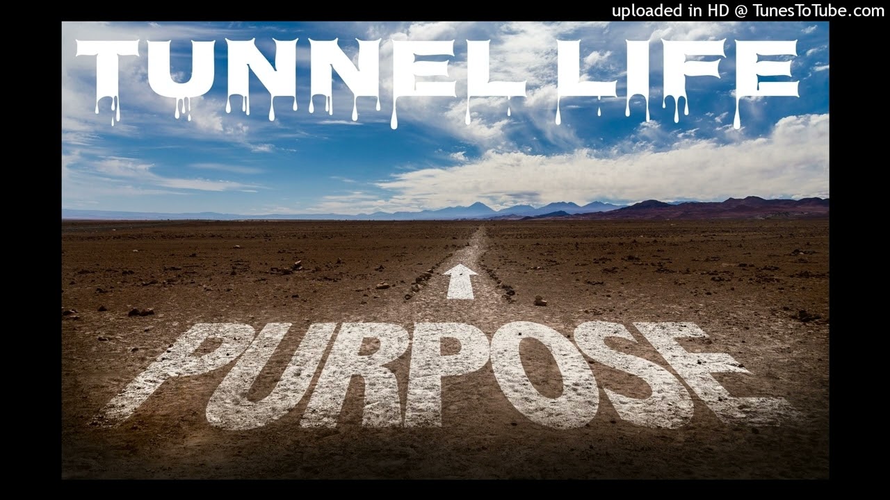 STAINLESS - PURPOSE ft. SPLASH