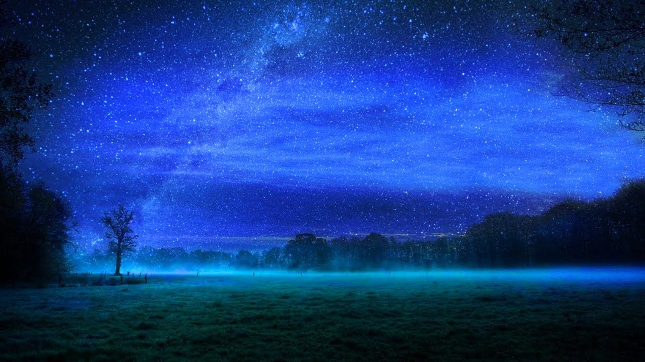 Soft Cricket Whispers: A Sleep Oasis To Melt Away Sleep