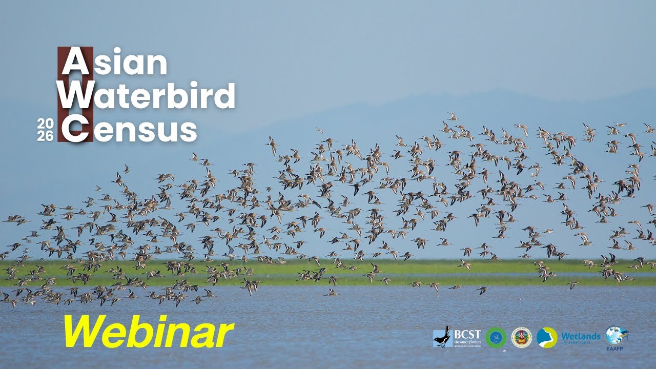 AWC2026 Thailand Webinar 08/01/2026 (Thai - English)