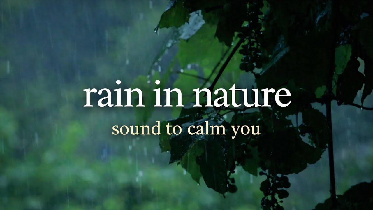 (SEM ANÚNCIO) 1 Hora de som de chuva na natureza para relaxar e dormir profundamente 