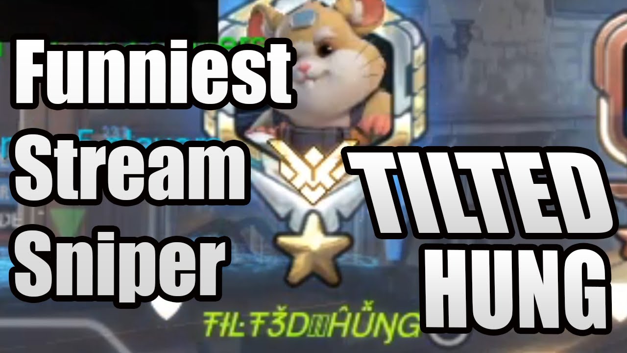 I MET THE FUNNIEST OVERWATCH STREAM SNIPER (TILTED HUNG)