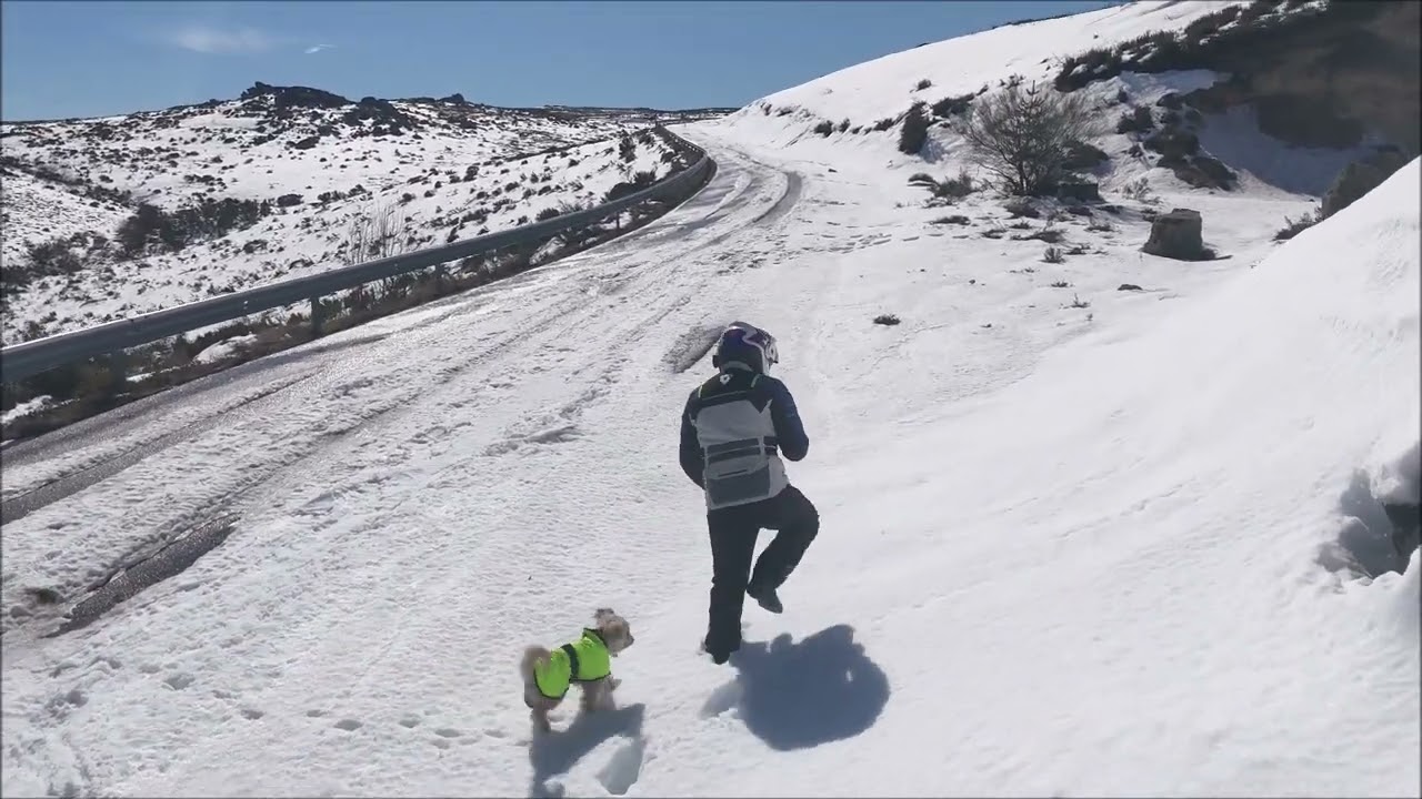 LAROUCO NIEVE MARZO