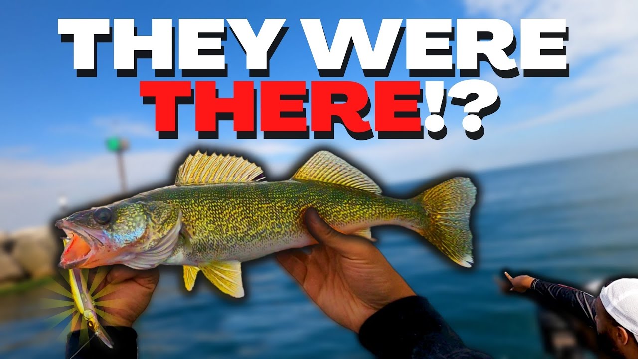 Lake Erie Ohio Walleye Fishing - Megabass Vision 110 Jerkbait