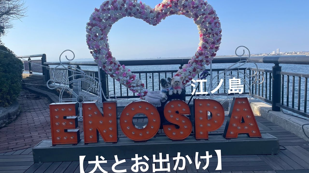 【犬とお出かけ】江ノ島