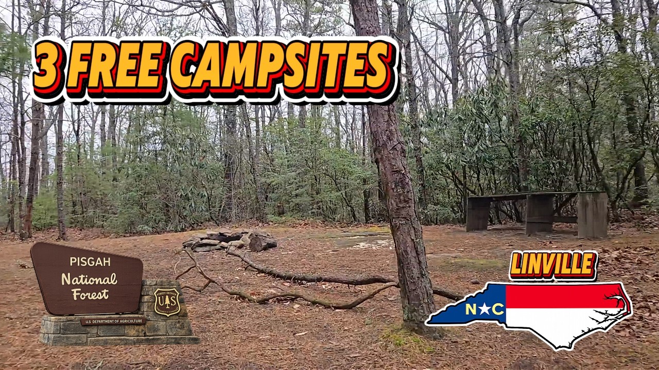 Old Mortimer Road FREE Dispersed Camping   Pisgah National Forest NC