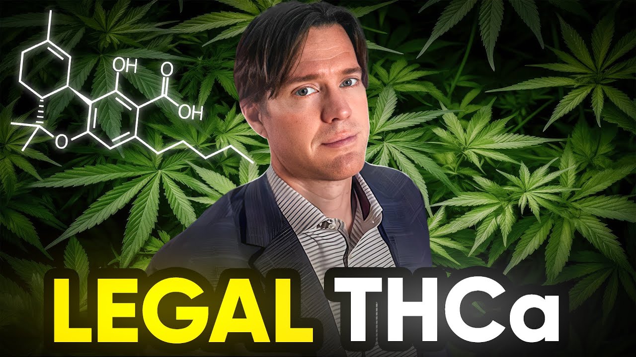 THCa Flower Legal (For Now?!) Cannabis Lawyer Reacts | THCa hemp Flower Legal Issues