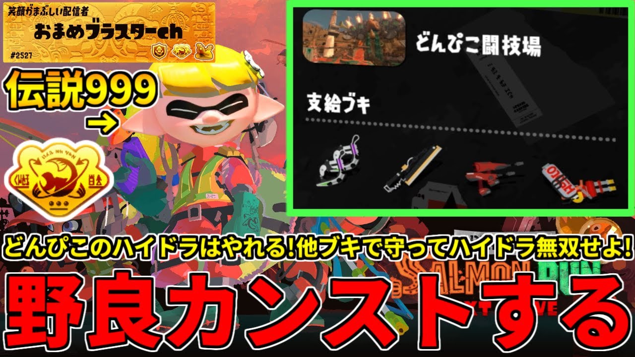どんぴこハイドラタツという神ゲーが遊べる回！ドライブもクアッドも好きな男が攻略する！【スプラトゥーン3/サーモンランNW】