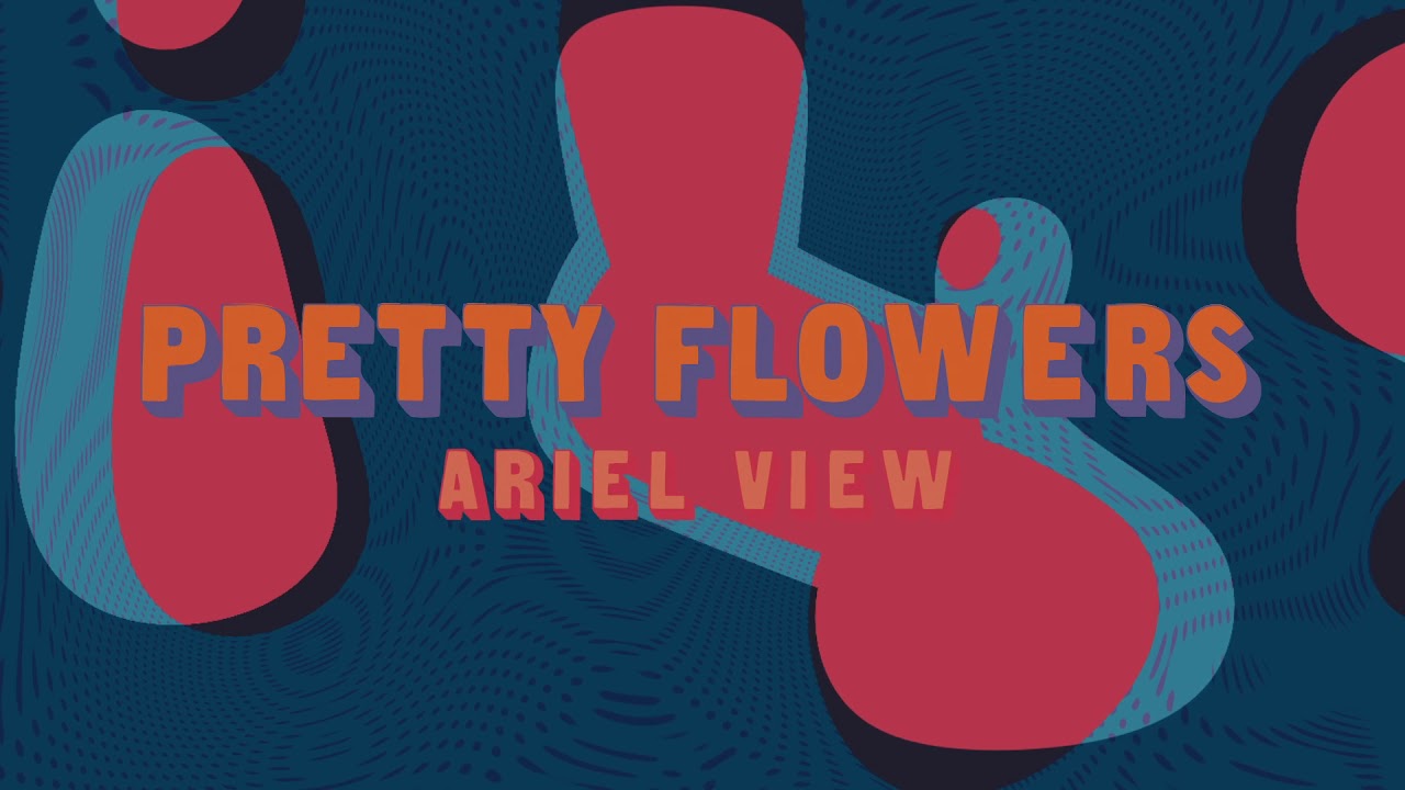 Ariel View - 