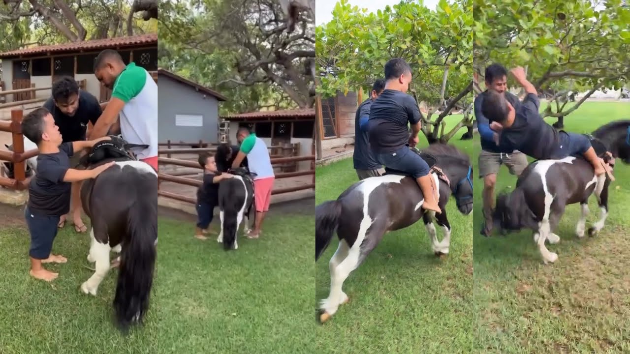 🤠 CAVALO BRAVO DERRUMA JUNIM ANÃO 