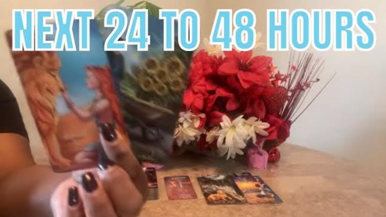 All Signs Tarot Love Next 24 to 48 Hours