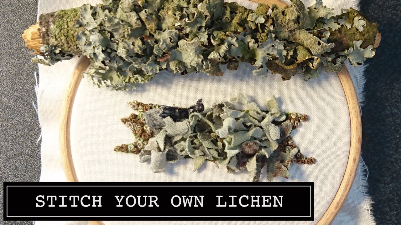 How to Make a Lichen Covered Branch Hand Embroidery Online Class