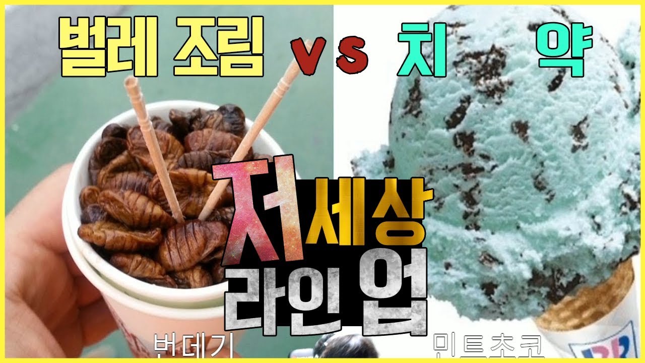 편식 월드컵