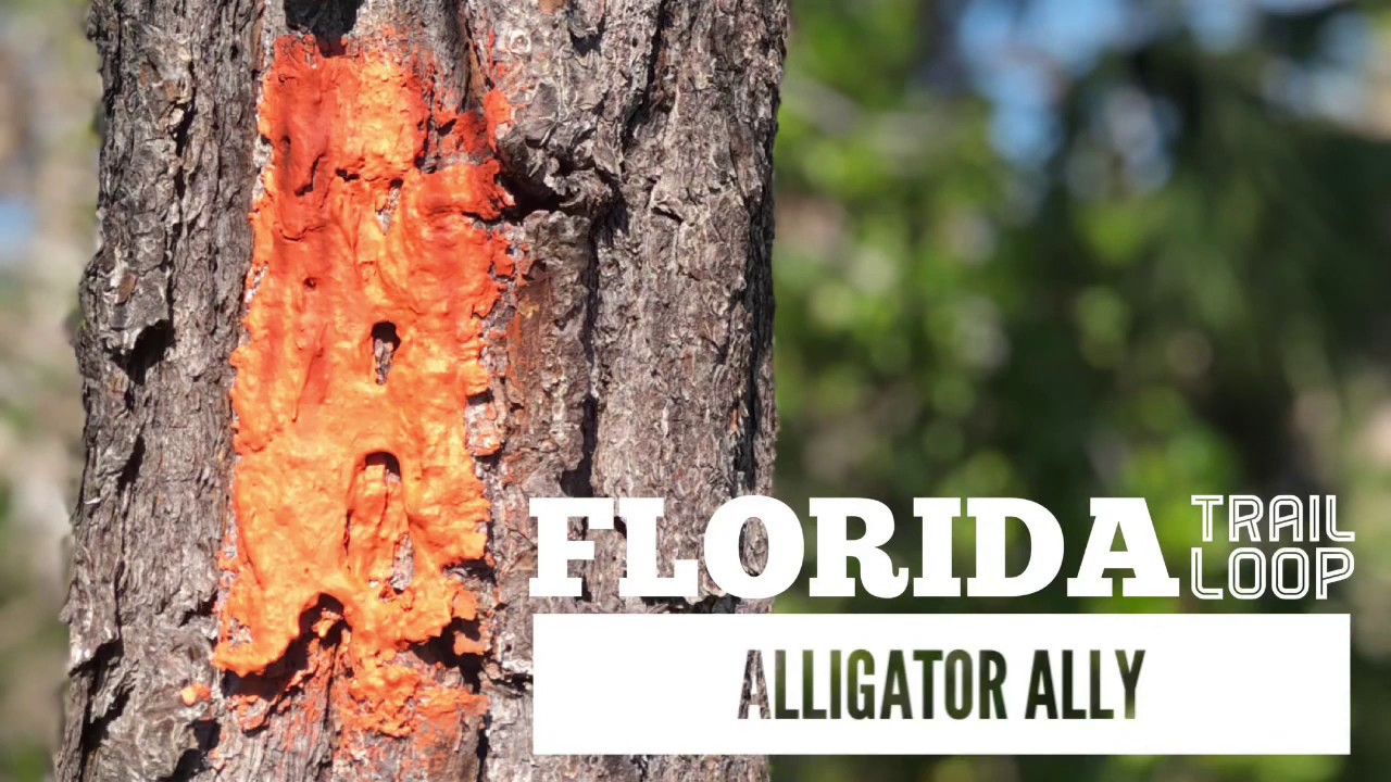 Florida trail day hike South Florida