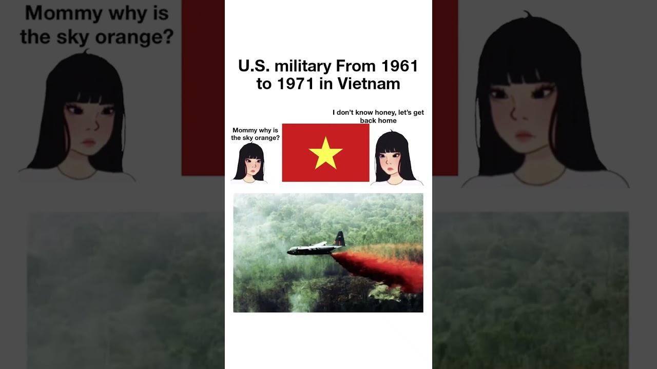 History Memes 17 #MEMES #Memesdaily #Shorts 581