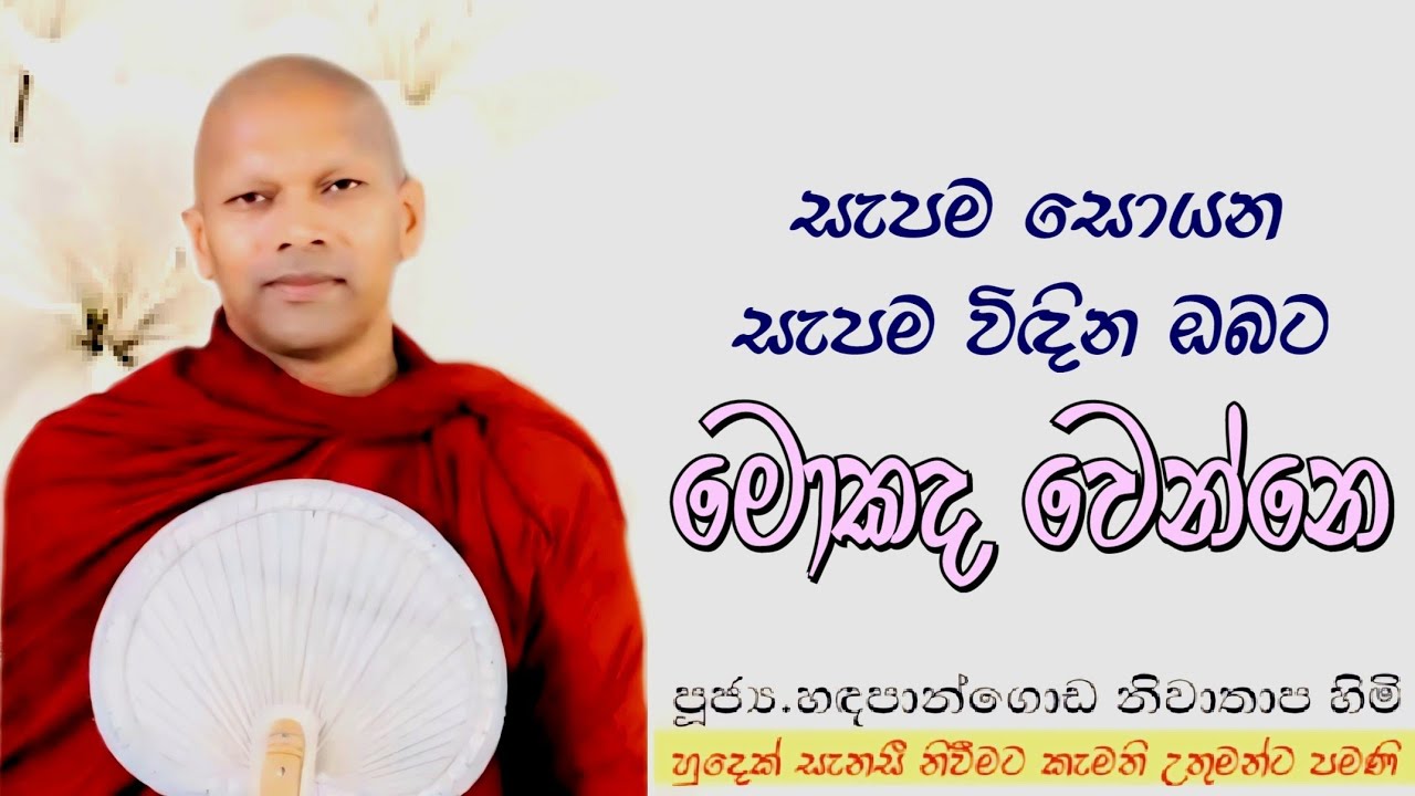 සැප ම සොයන, සැපම විඳින ඔබට මොකද වෙන්නෙ?#ven.Niwathapa thero#dharmayai obai #pahura