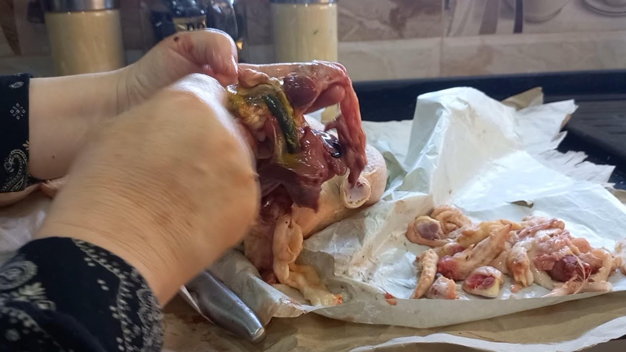 Par une main vétérinaire: comment nettoyer les abats de poulet  .بايادي بيطرية:تنظيف زوائد الدجاج