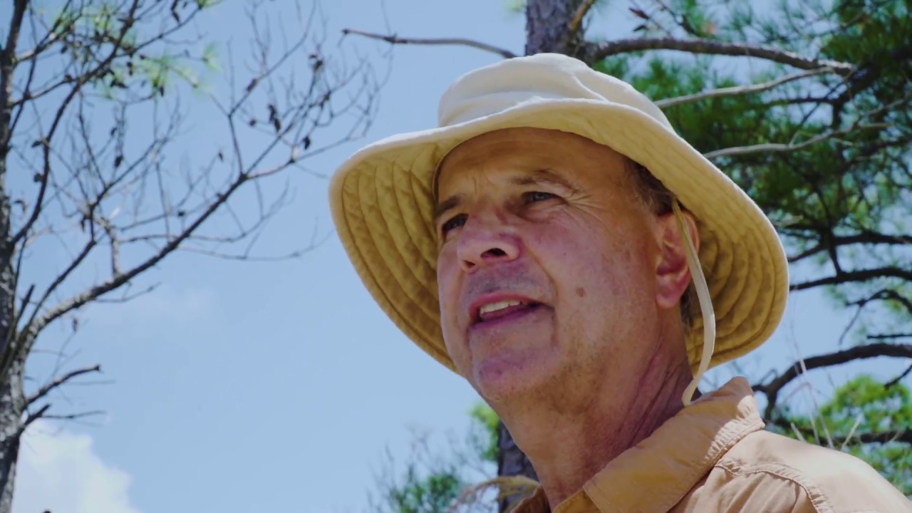 Deal Island: Maryland's Green Suit of Armor