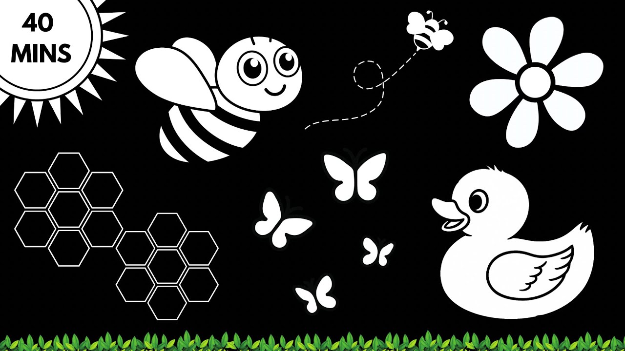 Black and White Baby Stimulation - Honey Bees And Blossoms - Calming Sensory Video for Babies #baby