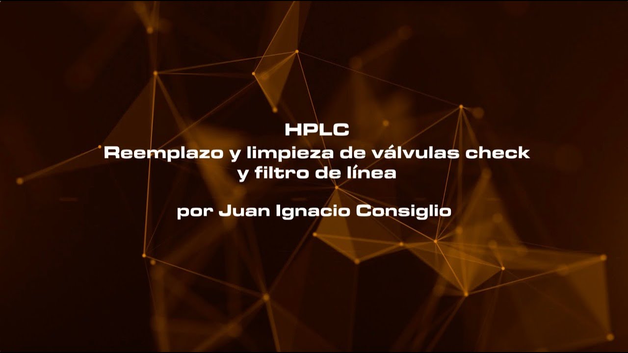 D´AMICO INSIGHTS Capítulo 1: 