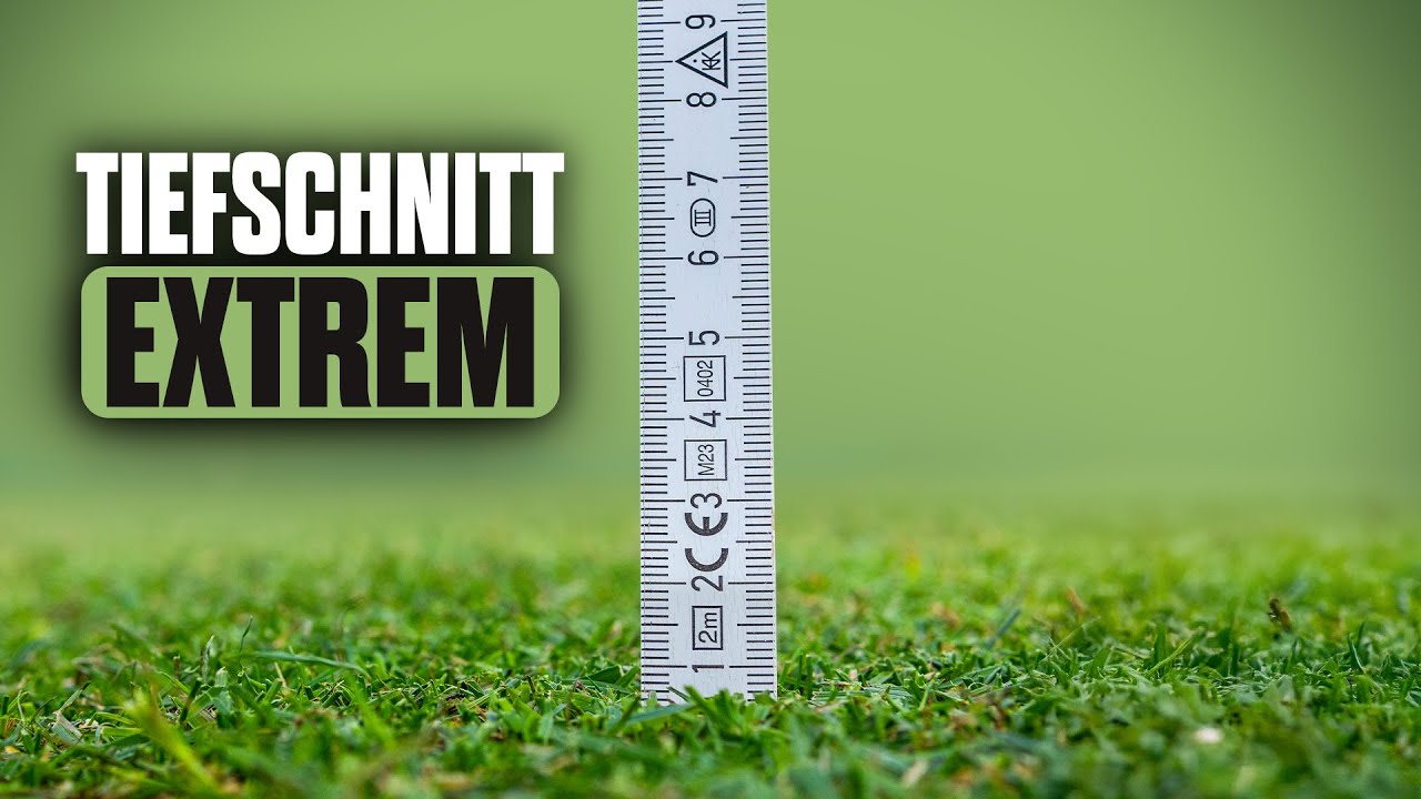 RASEN-KATASTROPHE: Zu tief gemäht – so sieht’s danach aus